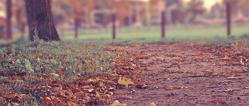 短信测压准确吗