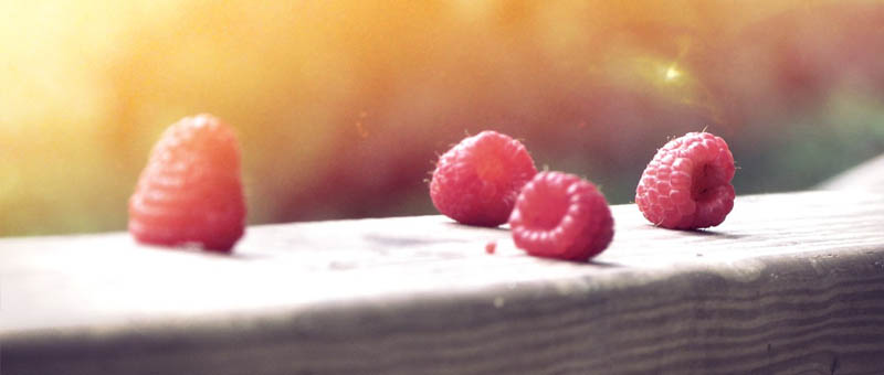 在线手机号平台